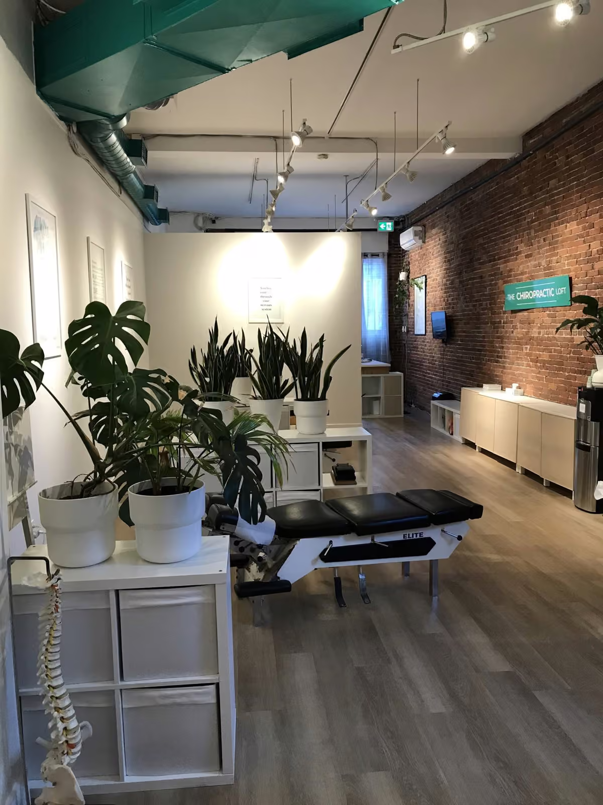 Chiropractic Loft